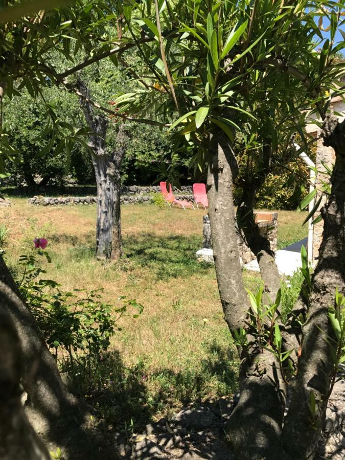 Villa Du Sud Vence Dış mekan fotoğraf