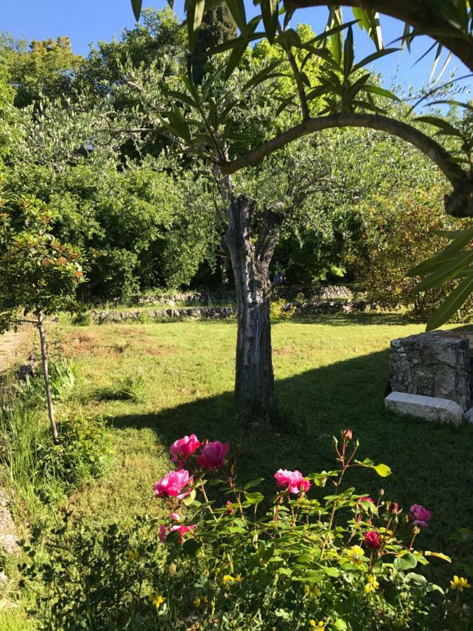 Villa Du Sud Vence Dış mekan fotoğraf