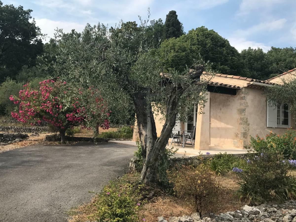 Villa Du Sud Vence Dış mekan fotoğraf