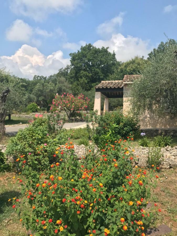 Villa Du Sud Vence Dış mekan fotoğraf