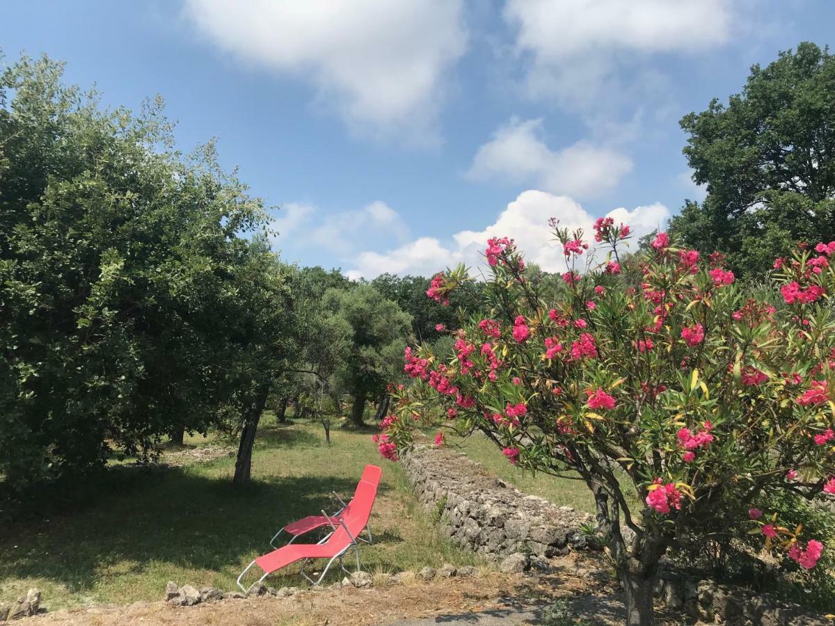 Villa Du Sud Vence Dış mekan fotoğraf